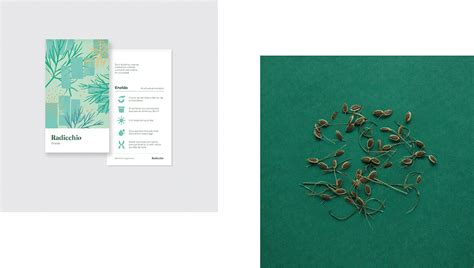 Radicchio Branding: Organic Seeds on Behance