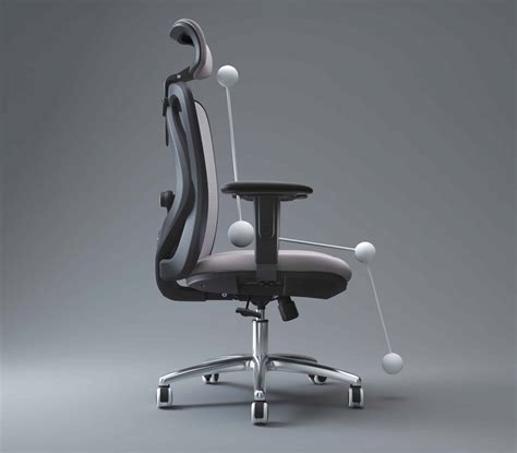 SIHOO M18 Ergonomics Office Chair SIHOO