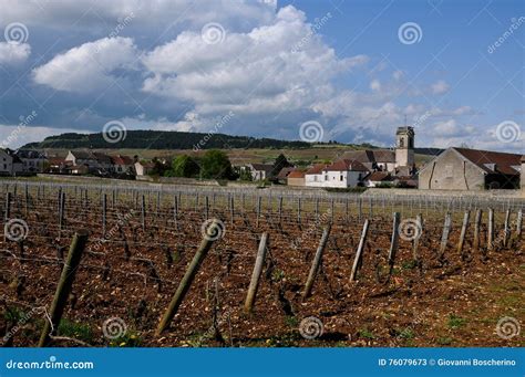 The Beautiful Vineyards in Beaune Cote De Beaune Where Wine is Stock ...