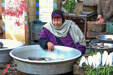 شادر السمك أشكال وألوان لأنواع مختلفة من المأكولات البحرية اليوم السابع