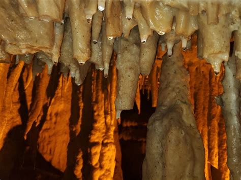 Stalactites Stalagmites And Cave Formations Mammoth Cave National Park U S National Park