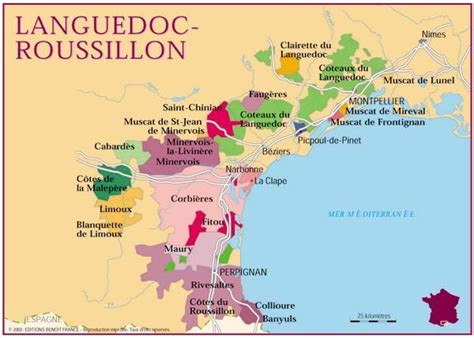 Wine Region: Languedoc-Roussillon - Briscoe Bites