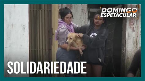 Equipes De Resgate Salvam Animais De Estima O Que Ficaram Ilhados No