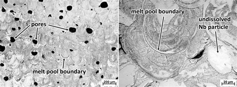 Microstructure Of The Ti 30Nb Alloy Prepared By SLM In As Built State