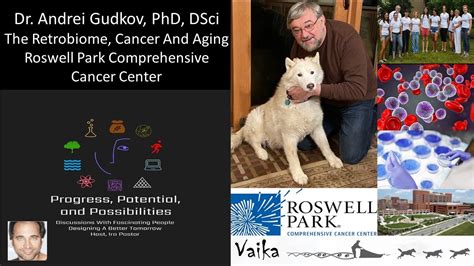 Dr Andrei Gudkov PhD The Retrobiome Cancer And Aging Roswell