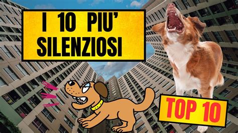 Cani Che Abbaiano Poco Le 10 Migliori Razze Per Un Contesto