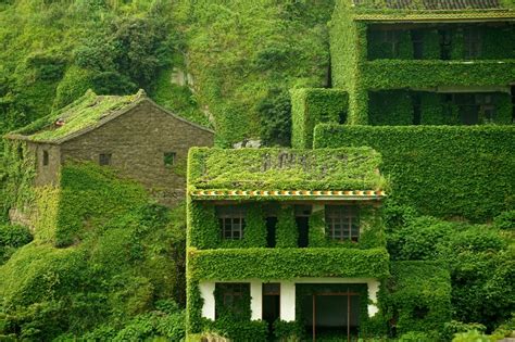 Elisandre L Oeuvre Au Noir La Nature Reprend Ses Droits Dans Un