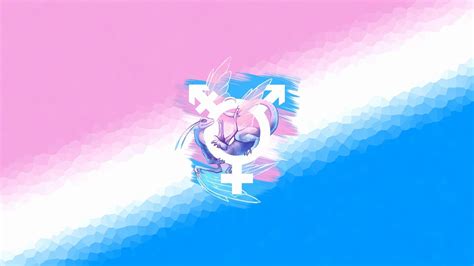 Trans Flag Wallpapers - Top Free Trans Flag Backgrounds - WallpaperAccess