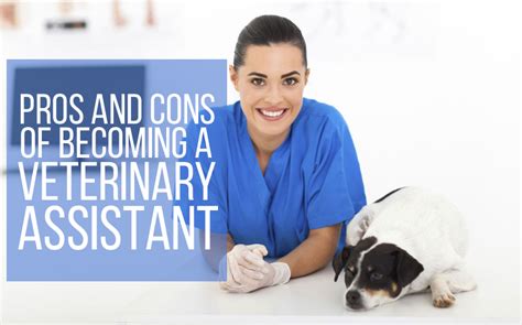 How To Become Veterinary Assistant Phaseisland17