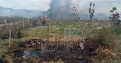 Hoy Tamaulipas Tamaulipas Se Incendia Potrero En Cercanias De Colonia