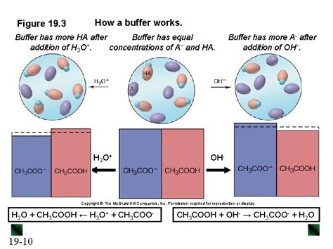 Lecture Power Point Chemistry The Molecular Nature Of