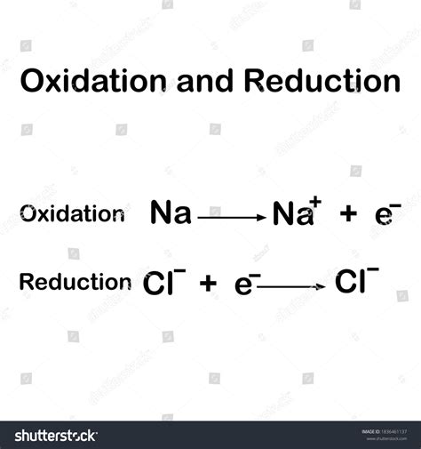 Oxidation Reduction Reactions Examples Stock Vector Royalty Free 1836461137 Shutterstock