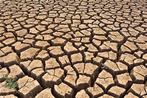 Fondo De Tierra Seca Agrietada Foto Premium