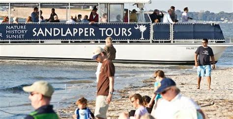 Eco Tours And Dolphin Cruises In Charleston Sandlapper Water Tours