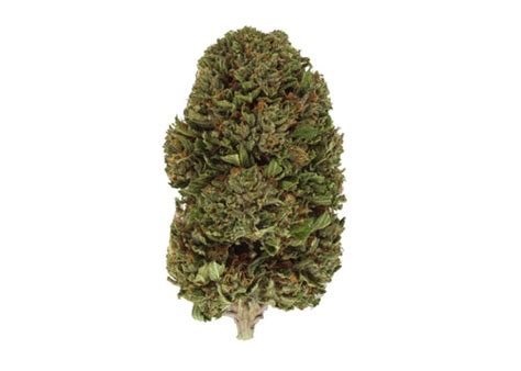 Buy Delta 8 Flower Double Dosed And Bulk Options Cbd Hemp Direct