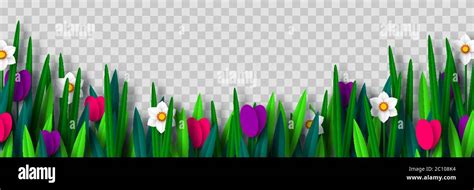 Vector spring flower border Stock Vector Image & Art - Alamy