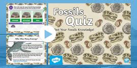 Ks Fossil Colouring Sheets Teacher Made