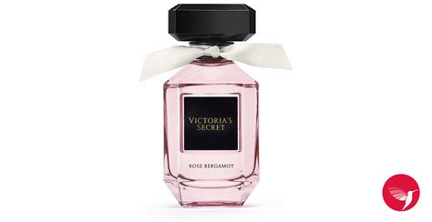 Rose Bergamot Victoria`s Secret Perfume A New Fragrance For Women 2016