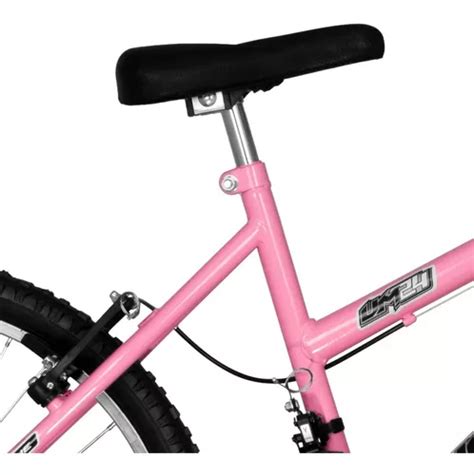 Bicicleta Bike Feminina Bicolor Aro V Brake Marchas Cor Rosa Beb