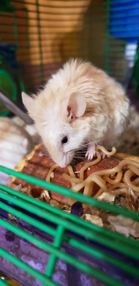 Princess Peach Enjoys Noodles On Her 3rd Birthday Shes Doing So Well