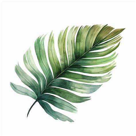 Premium Vector Watercolor Tropical Leaf Vector Leaf Exotic Foliage