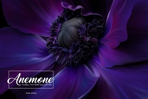 Anemone Floral Pattern Collection - Design Cuts