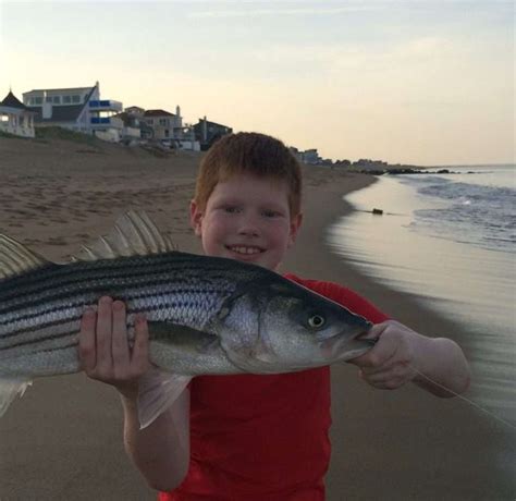 Surfland Bait And Tackle Plum Island Fishing Plum Island Oceanfront