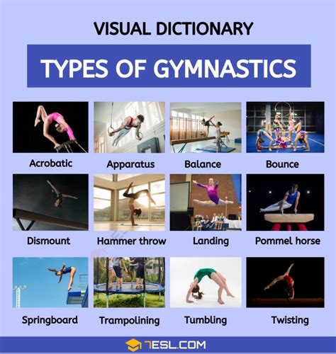 Types Of Gymnastics In English Esl