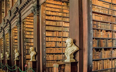 library photograph  marcy wielfaert fine art america