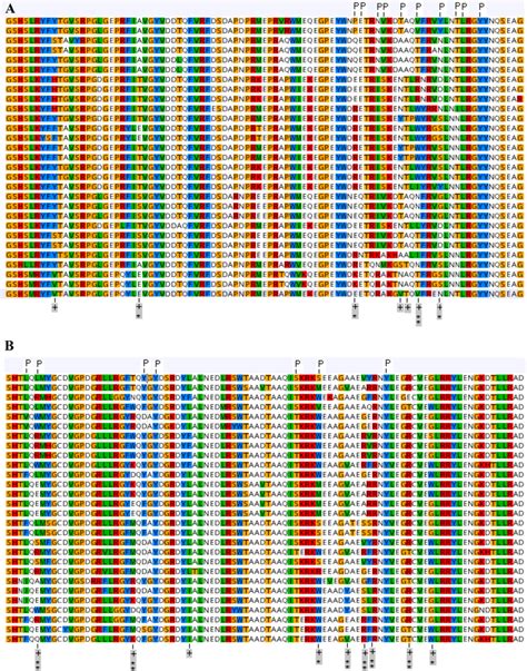 Amino Acid Alignment Of Buffalo Class I Mhc Alleles Plus Sign