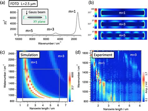 Surface Enhanced Optical Mid Infrared Photothermal Microscopy Using