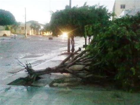 Geraldo Silva AESA Explica A Causa Da Chuva De Granizo Em Monteiro