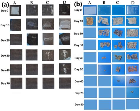 Polymers Free Full Text A Comprehensive Characterization Of