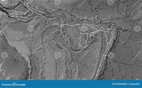 Conway Reef Plate Outlined Patterson Cylindrical Grayscale Stock