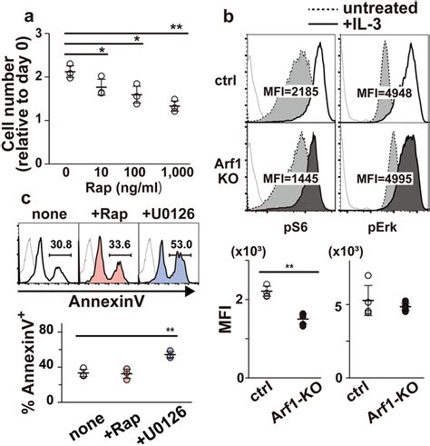 The MTORC1 Signal Is Decreased In Arf1 Deficient BMMCs A Control