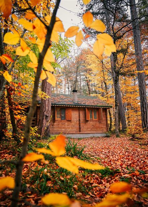 trail cameras   type  hunter  outdoorsman