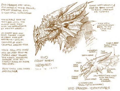 Red Dragon Species in Akadimía | World Anvil