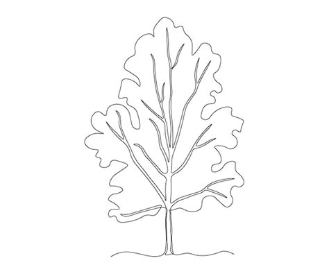 Dessin Au Trait Continu D Un Arbre Abstrait Vecteur Premium