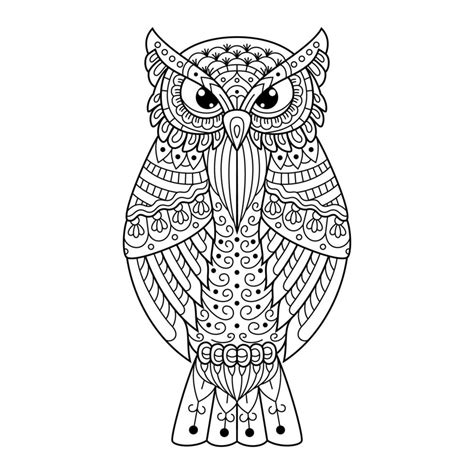 Owl Line Art Vector Art At Vecteezy