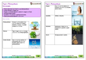 Grade 6 Natural Sciences Technology Term 1 NST Oxford Summaries