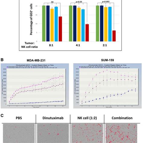 Dinutuximab In Combination With Nk Cells Targets Gd2 Cells And