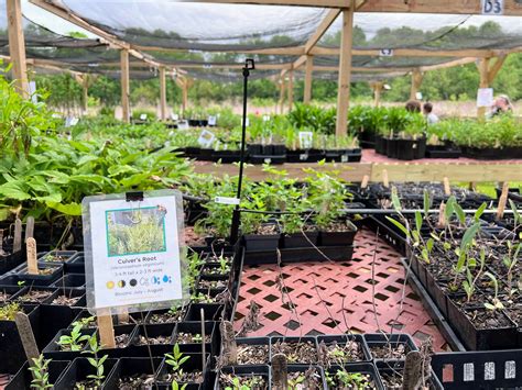 This Langkamp Funeral Home tradition is deeply rooted in history