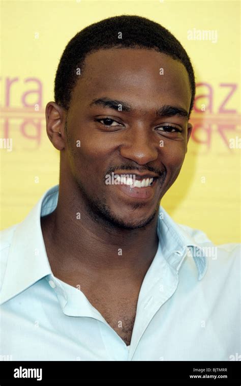 Anthony Mackie She Hate Me Photocall St Venice Film Festival Lido