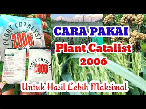 Cara Pemakaian Plant Catalist 2006 Untuk Meningkatkan Hasil Panen YouTube