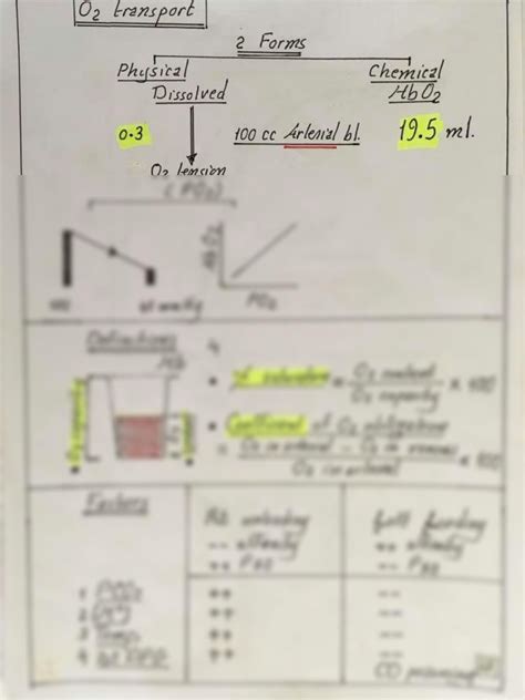 Solution Respiratory Dr Nagi Diagrams Studypool