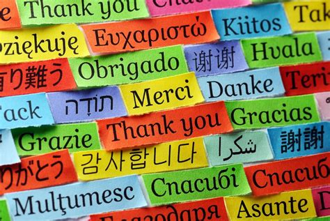 Why Multilingualism Is A ‘superpower Northwestern Now