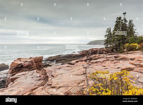 Usa Maine Mt Desert Island Acadia National Park Coastal View By