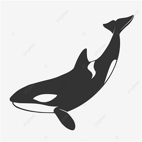 Killer Whale Silhouette PNG Free, Orca Killer Whale Fish, Fish, Fishing ...