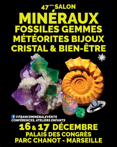 Me Salon Des Min Raux Fossiles Gemmes Et Bijoux De Marseille