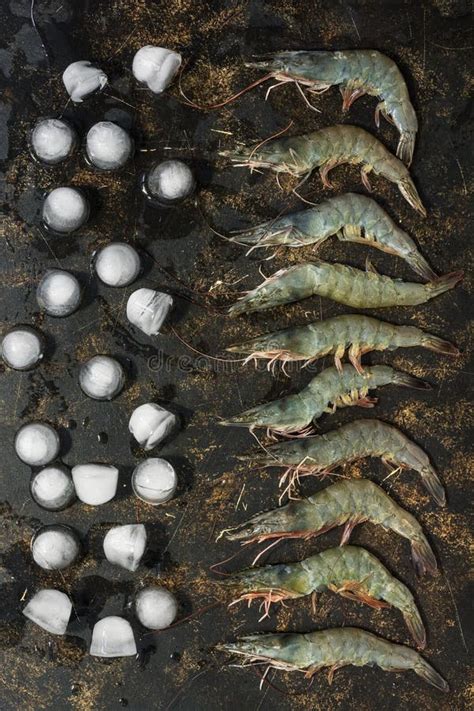 Fresh Raw Shrimp Flat Lay In A Row With Pieces Of Ice On A Dark